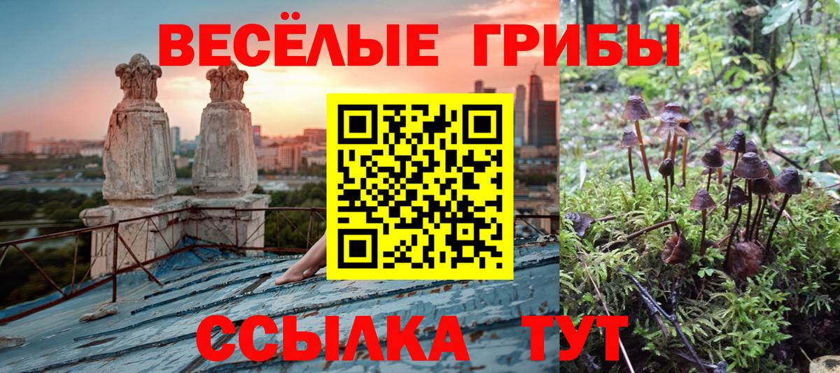 Галлюциногенные грибы мицелий Воскресенск